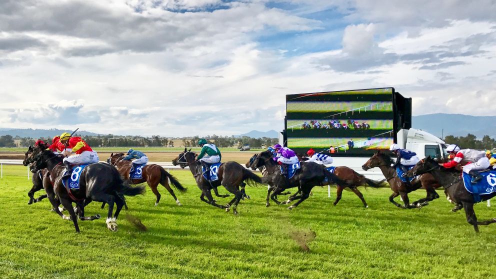 Scone Horse Festival in Scone, Upper Hunter - Credit: Shay Hancock - Upper Hunter Shire Council